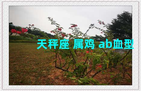 天秤座 属鸡 ab血型